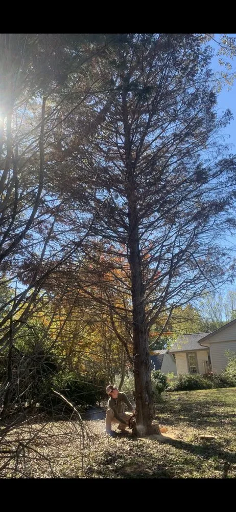 Trusted landscape installation for residential properties in Ninety Six, SC by All Land Management