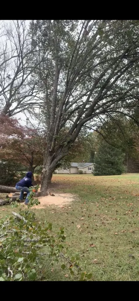 Local yard maintenance in Ninety Six, SC - All Land Management