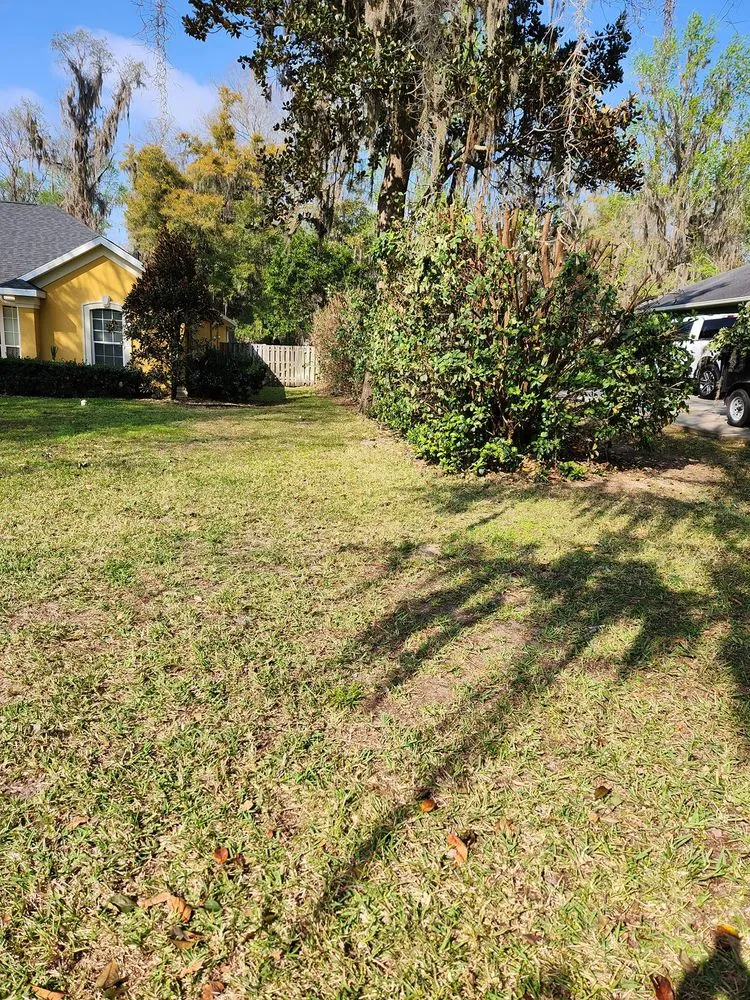 Local lawn care service in Ocklawaha, FL by All Land Pro