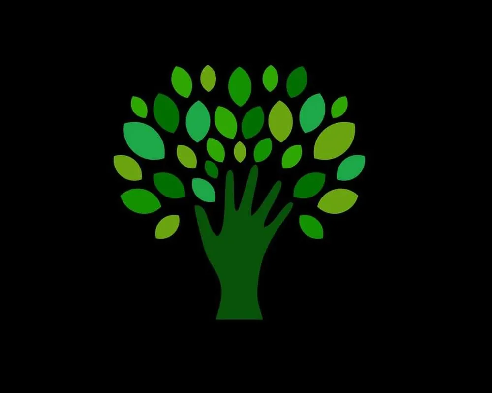 Expert lawn care service with custom design in Ocklawaha, FL by All Land Pro