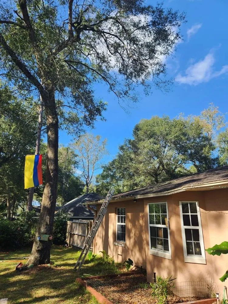 Reliable outdoor landscaping with custom design in Ocklawaha, FL by All Land Pro