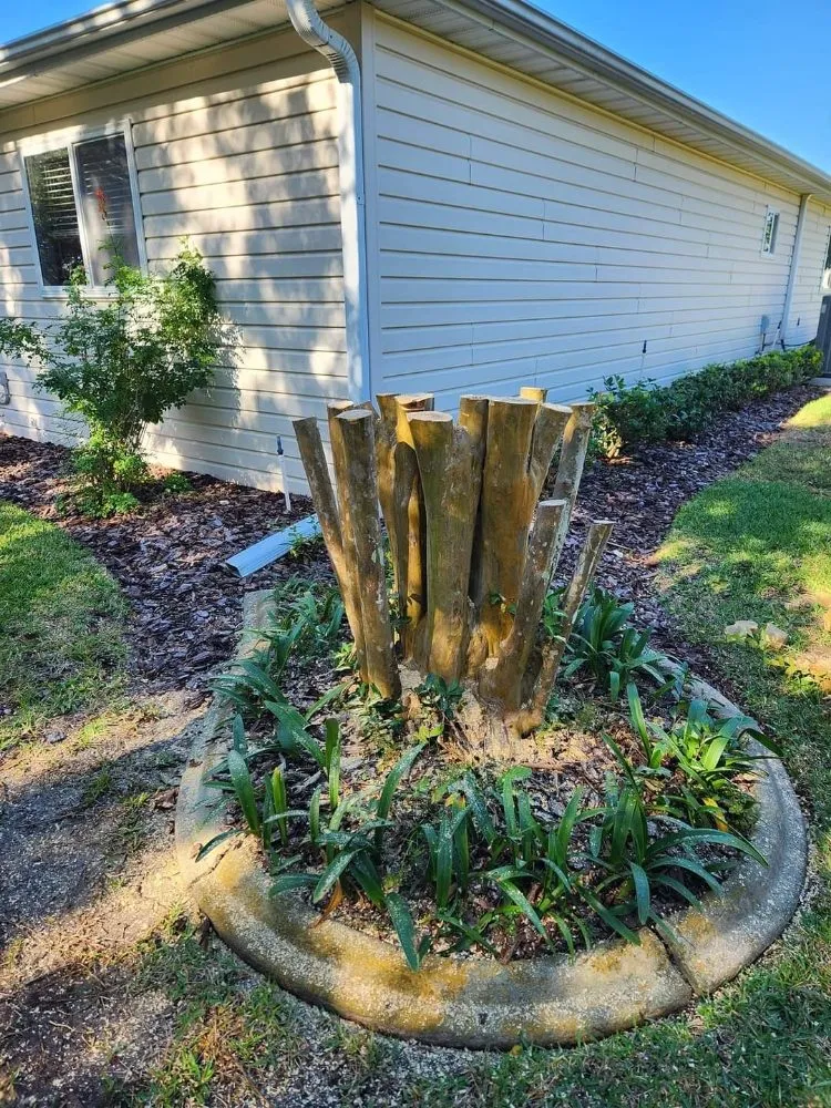 Professional yard maintenance experts serving Ocklawaha, FL - All Land Pro