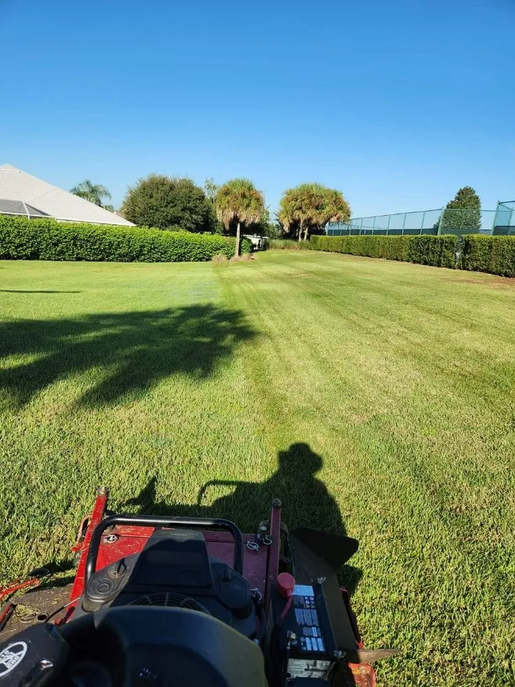 Affordable garden landscaping experts serving Ocklawaha, FL - All Land Pro
