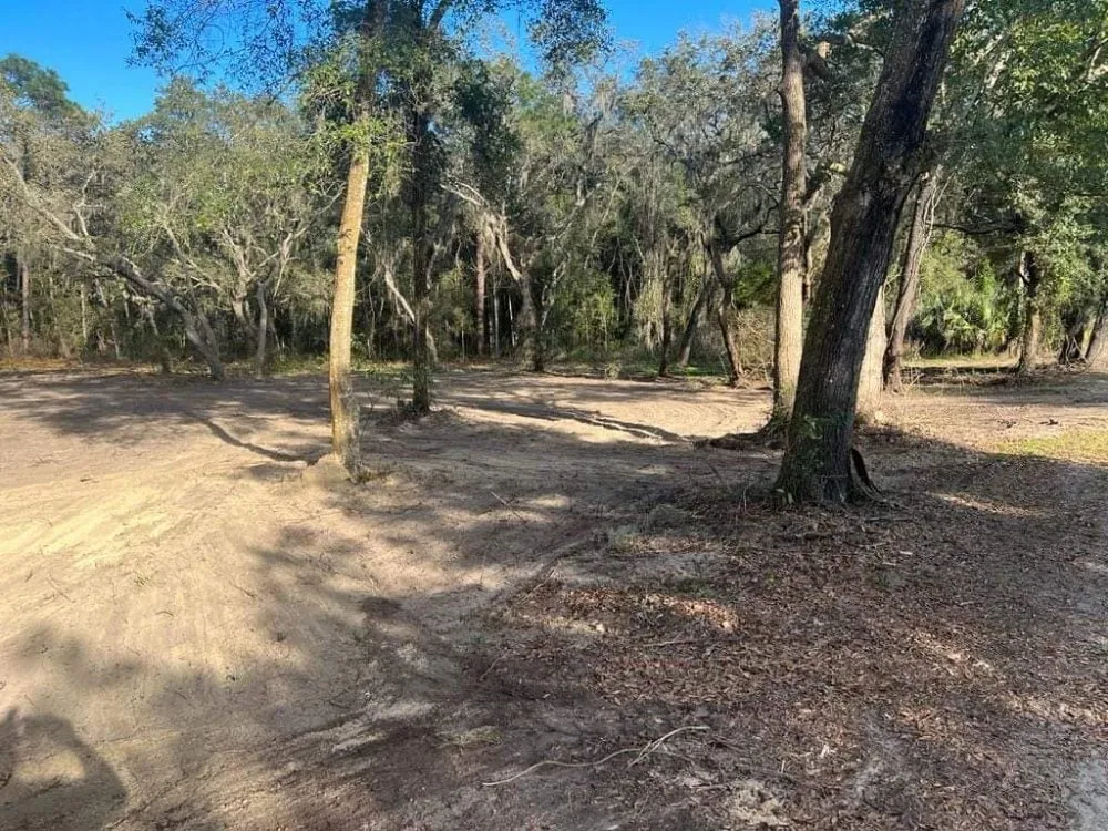 Trusted residential landscaping experts serving Ocklawaha, FL - All Land Pro