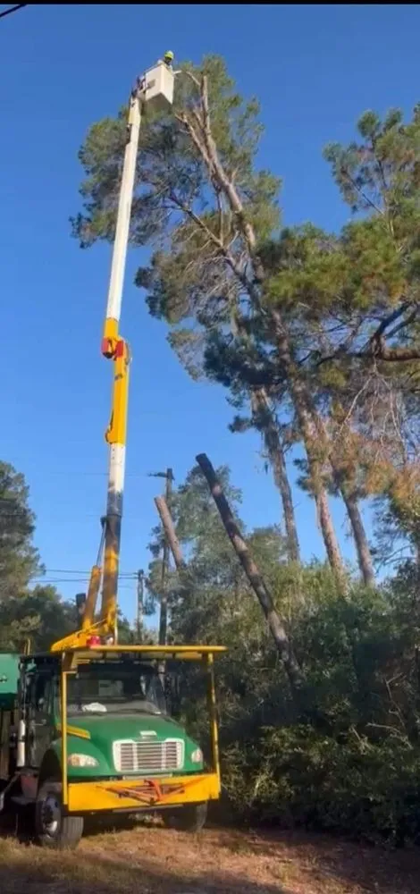 Top-rated landscaping services in Ocklawaha, FL - All Land Pro