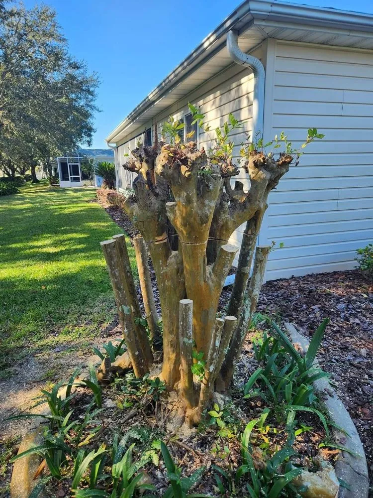 Custom residential landscaping for year-round maintenance in Ocklawaha, FL by All Land Pro