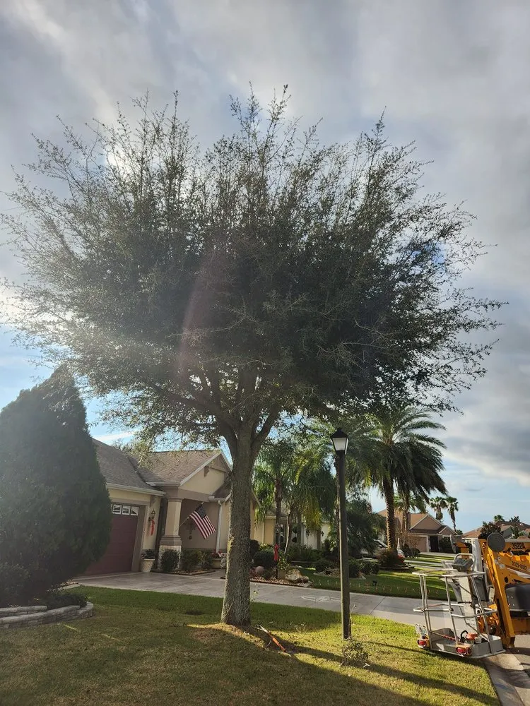 Affordable lawn mowing service in Ocklawaha, FL by All Land Pro