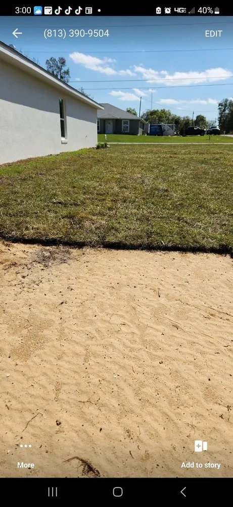 Professional yard cleanup service in Ocklawaha, FL - All Land Pro