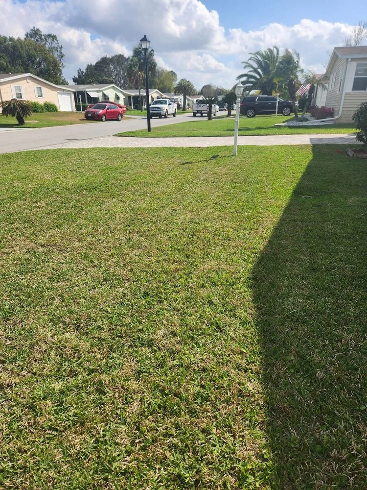 Affordable outdoor landscaping for outdoor upgrades in Ocklawaha, FL by All Land Pro