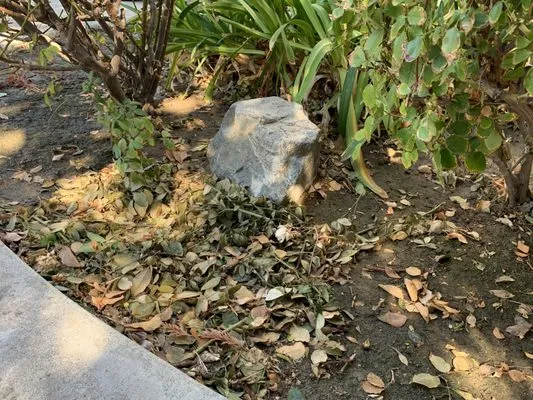 All Land Services Logo