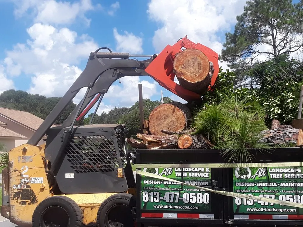 Reliable lawn care service for year-round maintenance across Tampa, FL - All Landscape & Tree Service