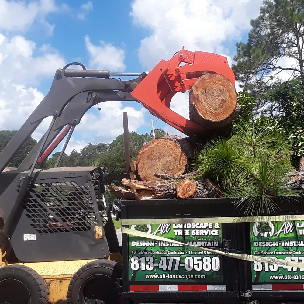 Affordable garden landscaping for beautiful yards across Tampa, FL - All Landscape & Tree Service