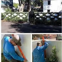 Custom lawn care service in Tampa, FL - All Landscape & Tree Service