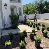 Custom lawn care service for residential properties across Tampa, FL - All Landscape & Tree Service