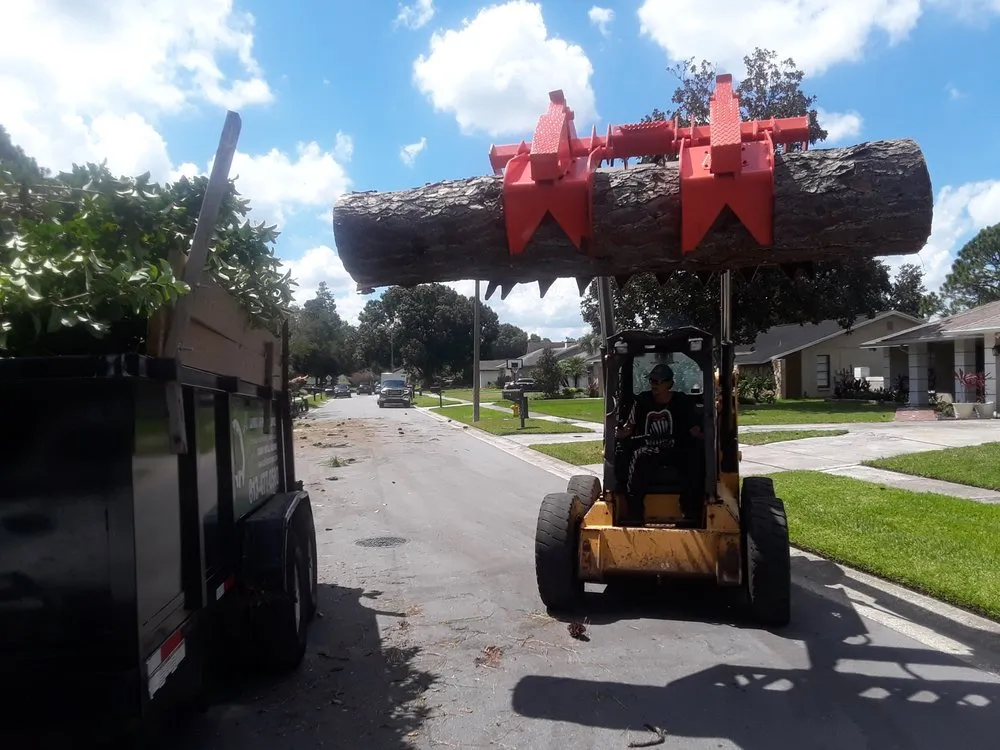 Professional yard maintenance in Tampa, FL by All Landscape & Tree Service