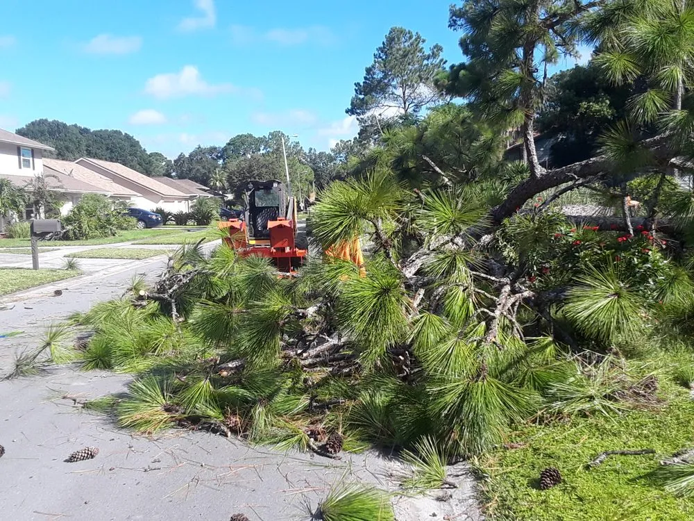 Affordable lawn mowing service experts serving Tampa, FL - All Landscape & Tree Service