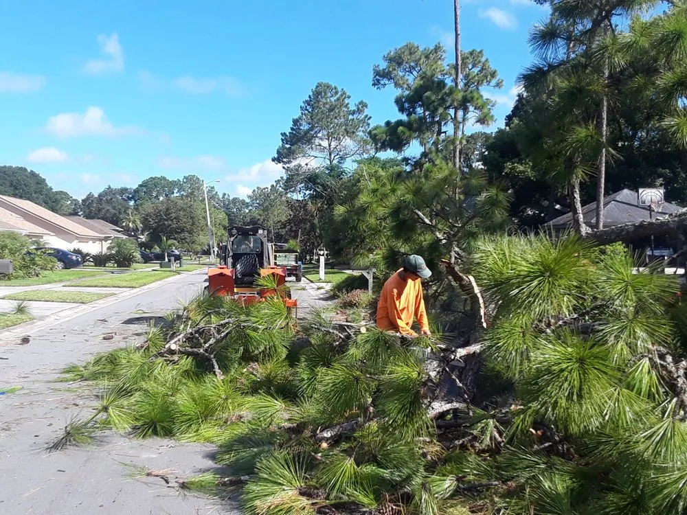 Reliable residential landscaping with custom design in Tampa, FL by All Landscape & Tree Service