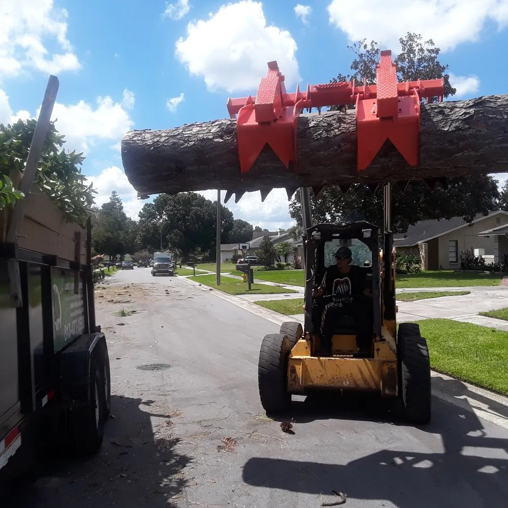 Top-rated landscape design with custom design across Tampa, FL - All Landscape & Tree Service