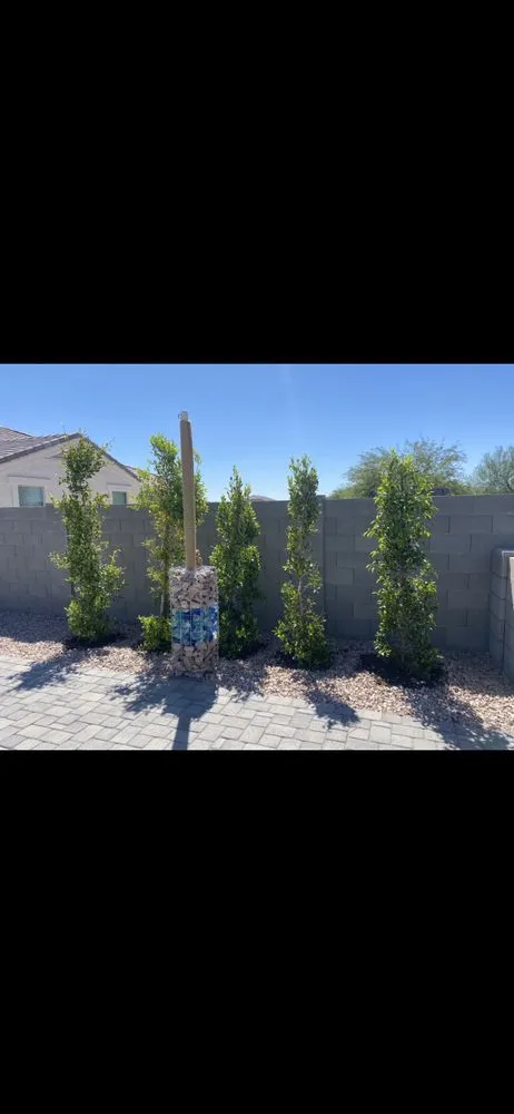 Expert landscape design experts serving Buckeye, AZ - All Landscaping