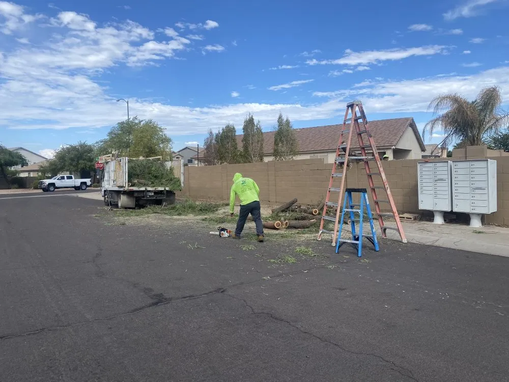 Reliable lawn mowing service in Buckeye, AZ by All Landscaping