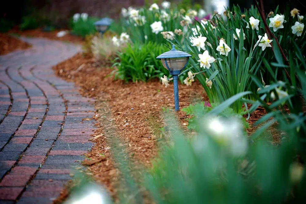 Local lawn mowing service for residential properties across Northborough, MA - All landscaping