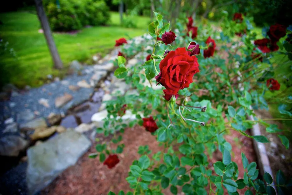 Trusted landscape installation in Northborough, MA by All landscaping