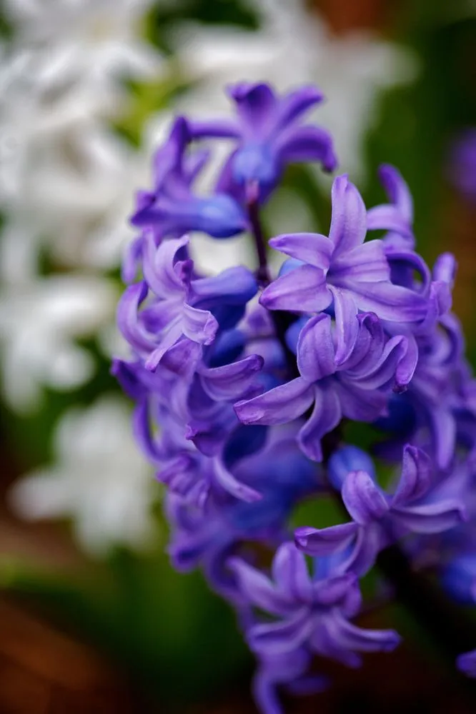 Custom landscape installation in Northborough, MA by All landscaping