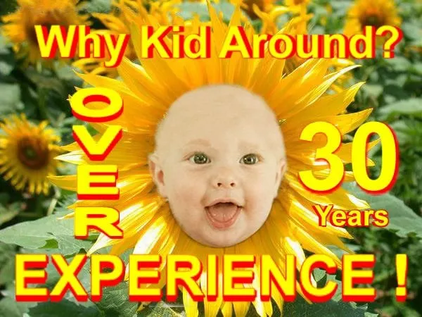 Professional landscape installation near you across Tampa, FL - All Lawn Irrigation Sprinkler Repair