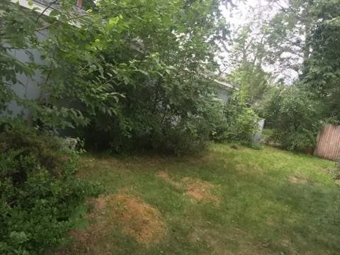 Reliable lawn mowing service for year-round maintenance in Royal Oak, MI by All Lawncare