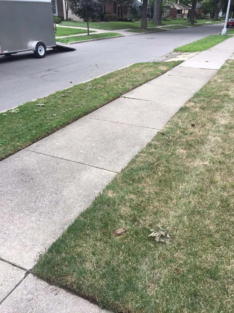 Trusted outdoor landscaping for homes across Royal Oak, MI - All Lawncare