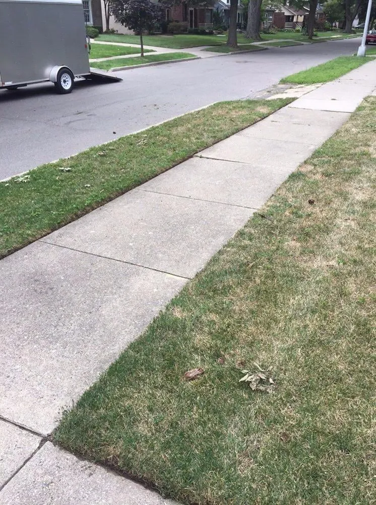 Local landscape installation for homes across Royal Oak, MI - All Lawncare