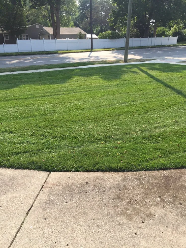 Local yard cleanup service in Royal Oak, MI - All Lawncare