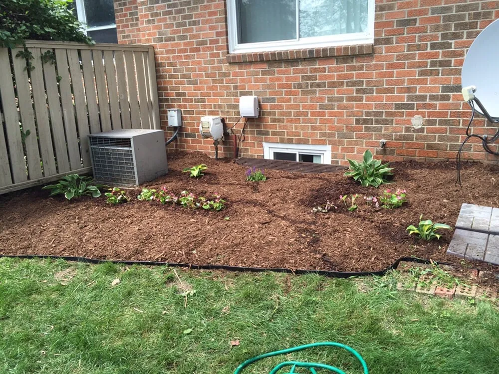Reliable yard cleanup service in Royal Oak, MI - All Lawncare