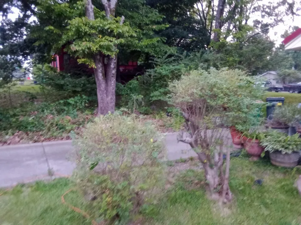 Professional outdoor landscaping in Little Rock, AR by All lawns No clippings