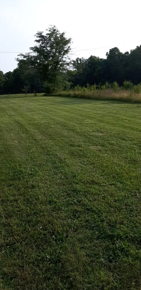 Trusted garden landscaping in Mooresboro, NC - All Leaf Lawn Care