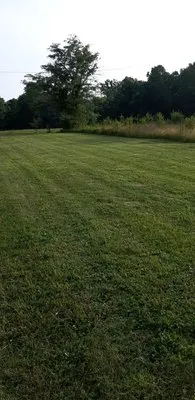 All Leaf Lawn Care