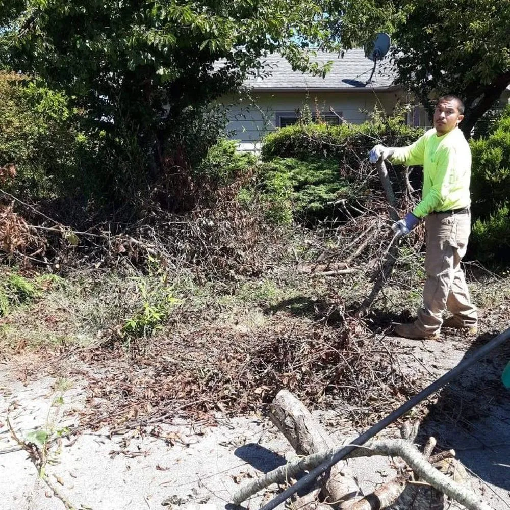 Trusted lawn mowing service with custom design across Norfolk, VA - All Love and All Peace Landscaping