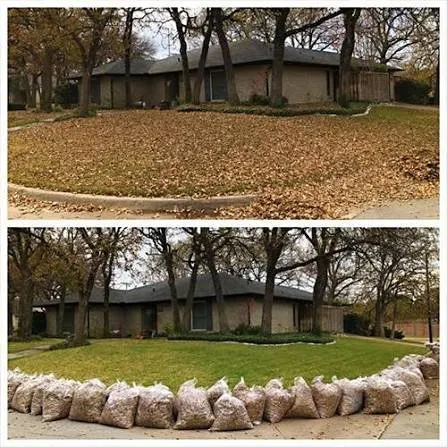 Reliable yard cleanup service experts serving Norfolk, VA - All Love and All Peace Landscaping