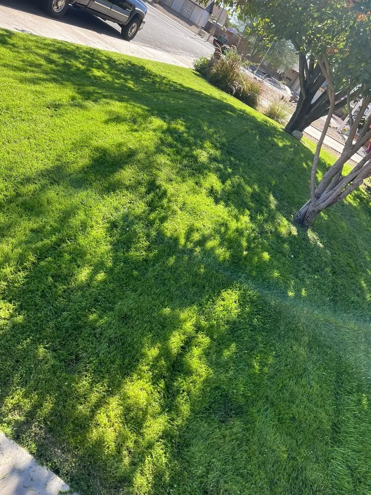 Affordable yard maintenance in Avondale, AZ by All Lucky Lawn Services