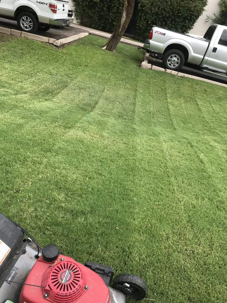 Affordable landscape design experts serving Avondale, AZ - All Lucky Lawn Services