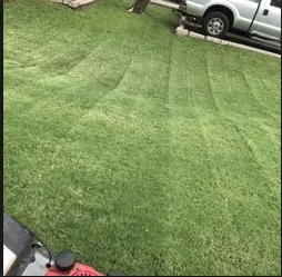 Expert landscaping services in Avondale, AZ - All Lucky Lawn Services