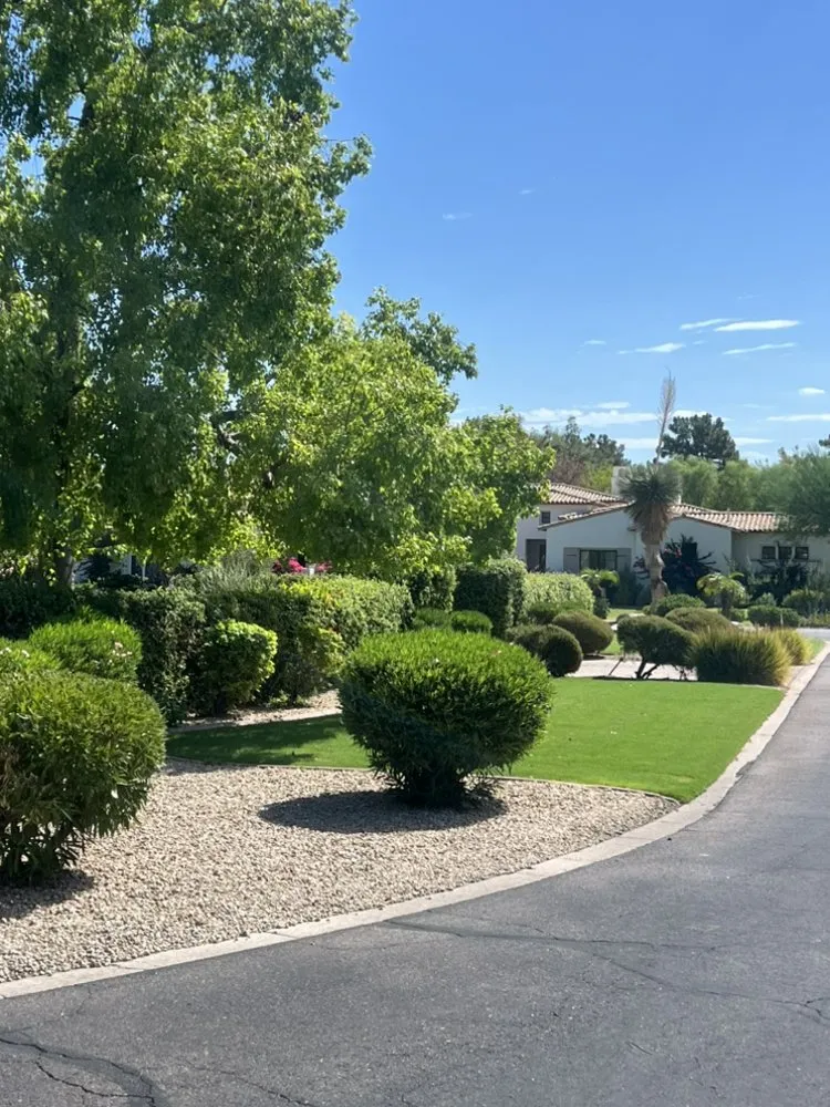 Custom landscaping services in Avondale, AZ - All Lucky Lawn Services