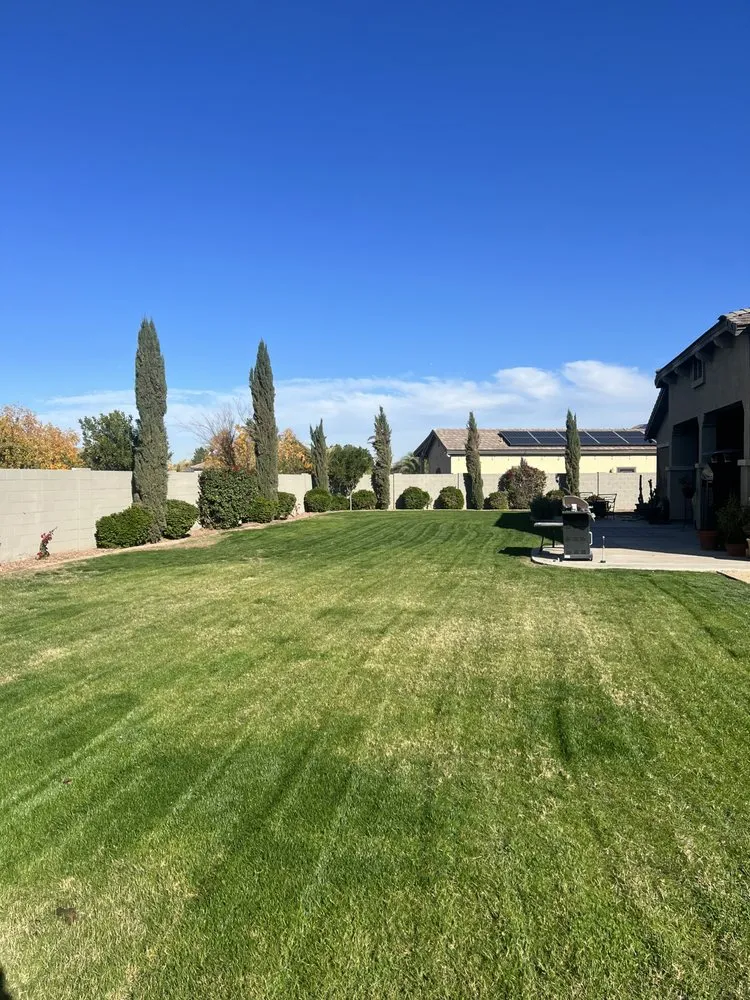 Expert residential landscaping for homes in Avondale, AZ by All Lucky Lawn Services