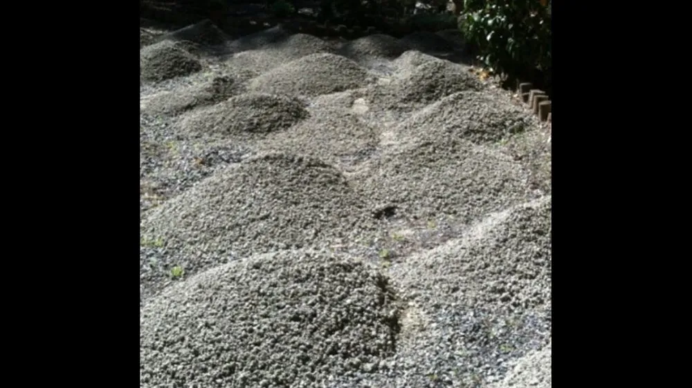 Affordable yard maintenance experts serving Burien, WA - All Maintenance