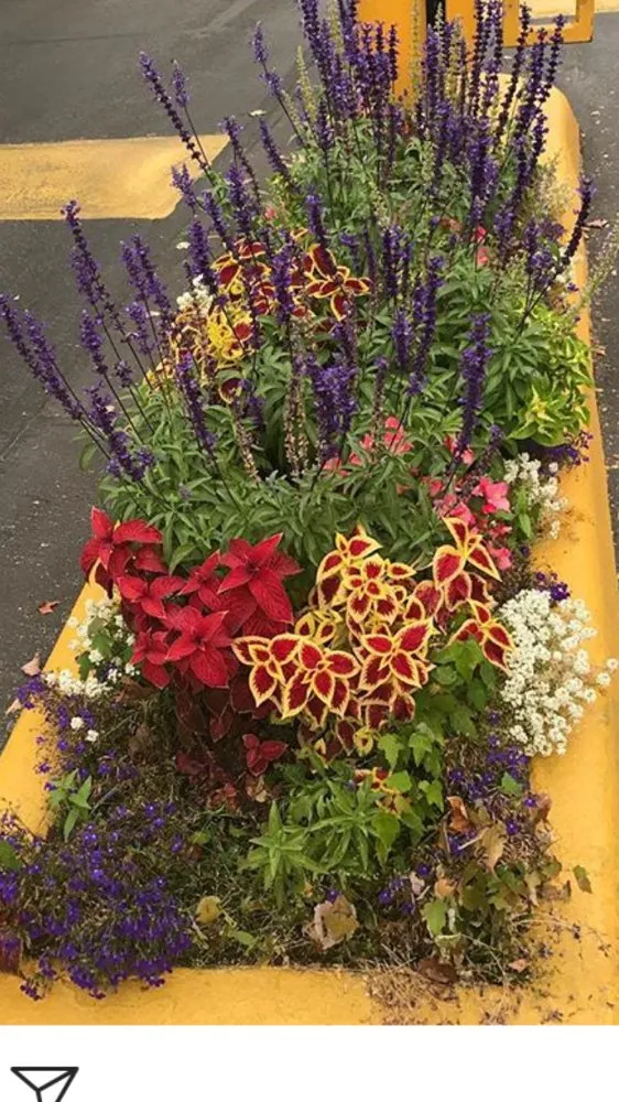 Top-rated landscape design in Burien, WA - All Maintenance