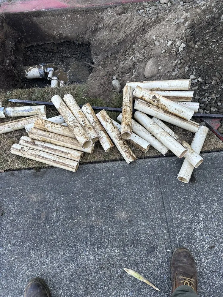 Professional outdoor landscaping for residential properties in Burien, WA by All Maintenance