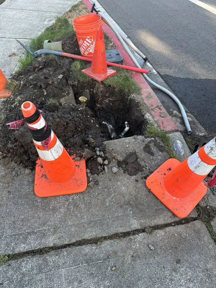 Custom yard cleanup service for residential properties across Burien, WA - All Maintenance