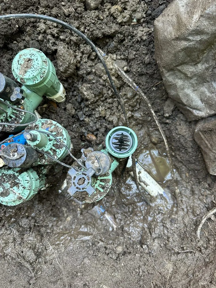 Professional residential landscaping experts serving Burien, WA - All Maintenance