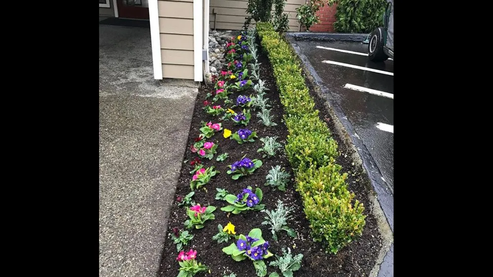 Professional landscaping services in Burien, WA - All Maintenance