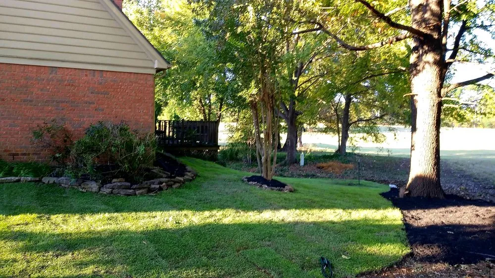 Expert yard maintenance experts serving Olive Branch, MS - All Memphis Lawn Service